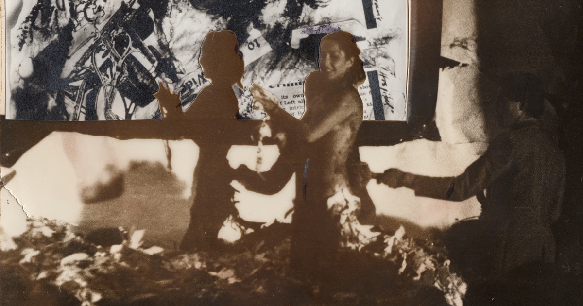 Carolee Schneemann At The Artist S Institute New York Hales Gallery